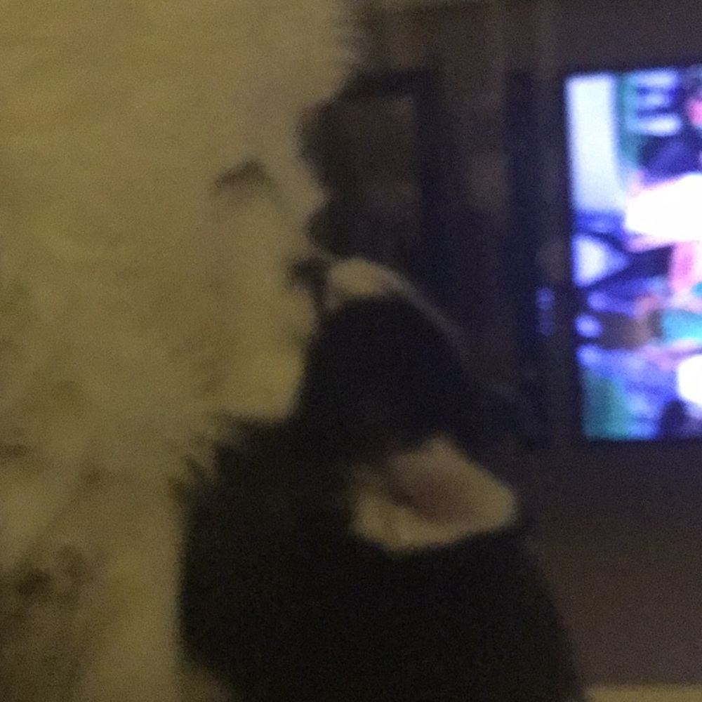 Meet your Posher, Michele